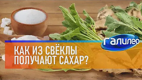 Галилео 🍬 Как из свёклы получают сахар?