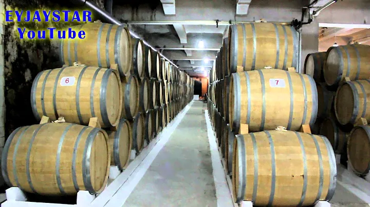 Yerevan Ararat Brandy-Wine-Vodka Factory "NOY". Tour.