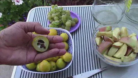 Экзотический компот с ассорти из яблок, винограда и хеномелеса (японская айва)